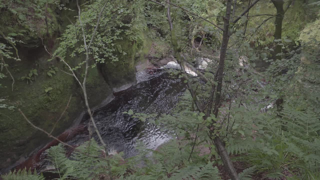 Beautiful view of fresh water river in green forest in scotland uk. Natural landscape
