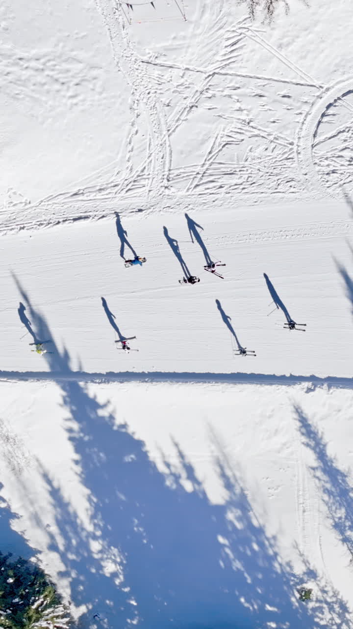 Aerial drone view of a ski resort in Col dei Baldi, Alleghe, in the Dolomites, Italy in daylight. Vertical