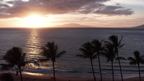 Low close-up aerial dolly shot across palm trees lining the beach at Wailea with the island of Lanai in the background at sunset in Hawai&#039;i