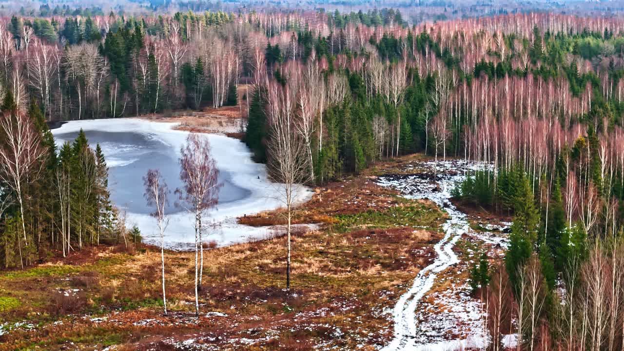 Luftfoto af frossen sø i birkeskov under tidligt forårstøbrud