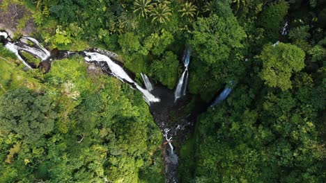 bali fiji waterfall in the green vibrant rain forest aerial