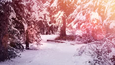 Lichtflecken-Und-Schnee-Fallen-über-Die-Winterlandschaft-Mit-Bäumen