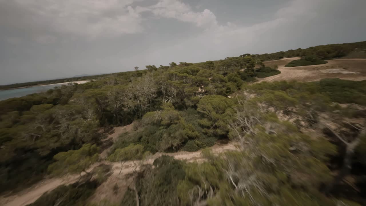 vista de un avión no tripulado de un increíble bosque costero en mallorca, españa