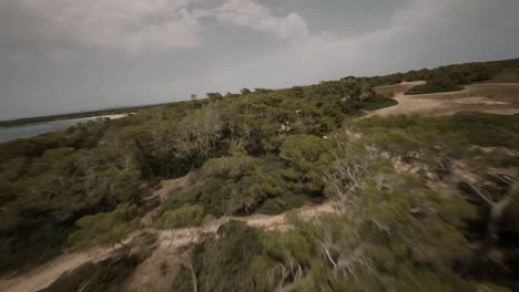 FPV-Drohnenansicht-Eines-Erstaunlichen-Küstenwaldes-Auf-Mallorca,-Spanien