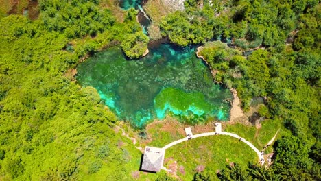 aerial 4k drone footage of zelenci springs