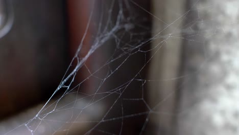 locked off view of spiderweb billowing indoors