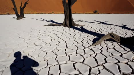 dramatic landscapes of deadvlei, namibia: ancient trees and red dunes