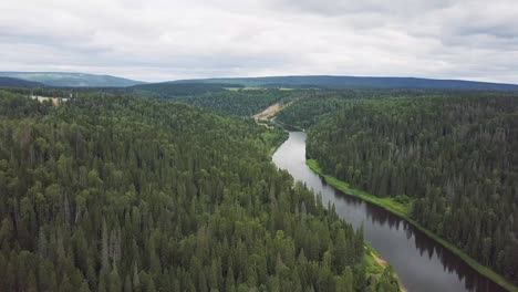 aerial view of a river winding through a pine forest