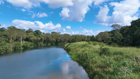 Aerial-cruises-low-over-the-languid-Pioneer-River-and-its-lush-banks-crowded-with-tropical-grasses-and-dense-forest-cover,-Mirani-Mackay-Queensland-Australia