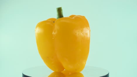 un primer plano de un pimiento amarillo dulce brillante en un soporte giratorio reflectante 360, cámara lenta, 4k