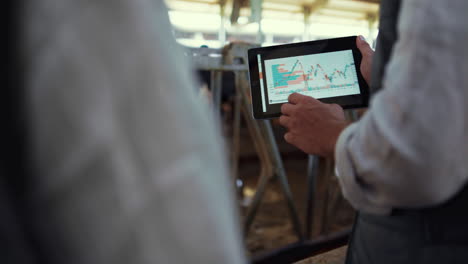 Farmbesitzer-Hält-Tablet-Im-Kuhstall-In-Nahaufnahme.-Agribusiness-Team-Arbeitet