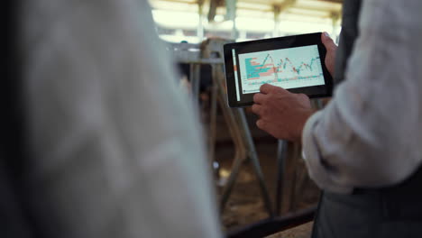 las manos del propietario de la granja sosteniendo la tableta en el establo de vacas de cerca. equipo de agribusiness trabajando