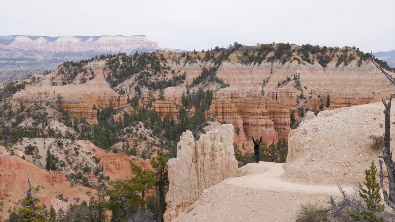 замедленная съемка взволнованной женщины на тропинке, поднимающей руки в национальном парке брайс каньон в штате юта, сша