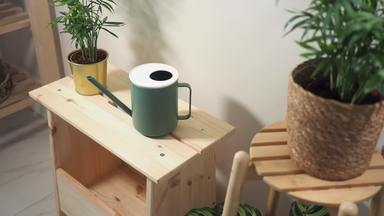 Indoor Plants and Modern Watering Can on Wooden Stands