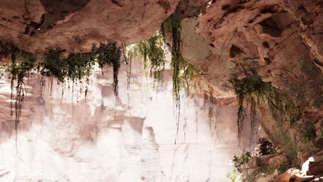 inside-a-limestone-cave-with-plants-and-sun-shine