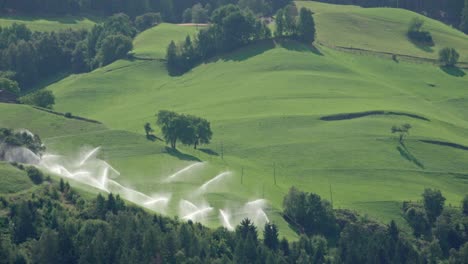 a working irrigation system on part of a mountain meadow