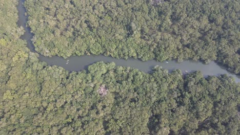 Die-Mangroven-Von-Sontecomapan---Das-Biosphärenreservat-Los-Tuxtlas