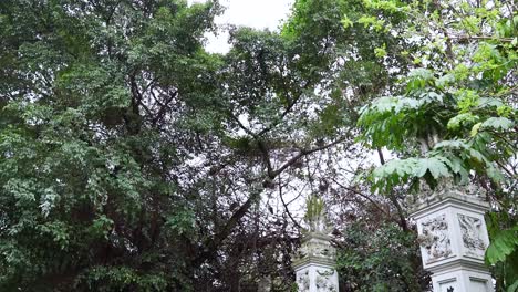 lush greenery surrounding a decorative pillar