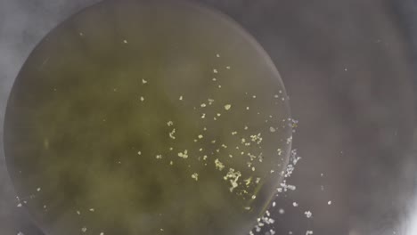 motion liquid orbs with speckled flakes background texture