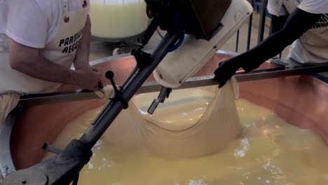 production of parmesan cheese, forming