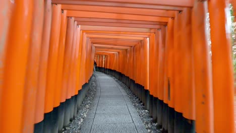 kyoto fushimi inari shrine temple columns