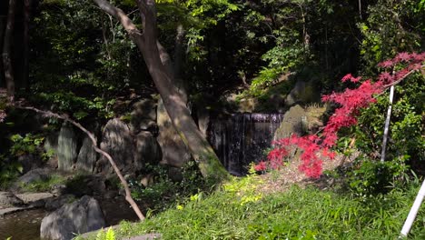 Dolly-in-towards-waterfall-inside-garden-through-beautiful-red-autumn-color