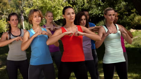 in high quality format fitness group squatting in park