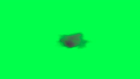 abstract cloud on green screen