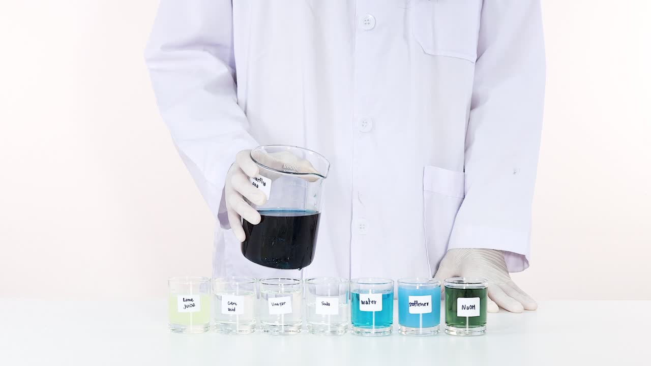 demostrando los cambios de ph con la flor del guisante mariposa