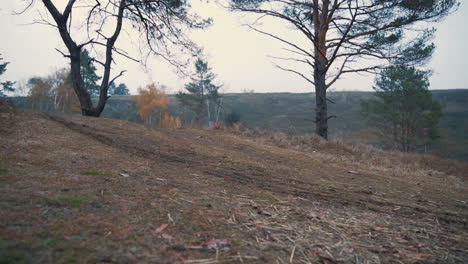 schneller männlicher radfahrer, der mit dem mountainbike die straße auf dem land hinunterfährt