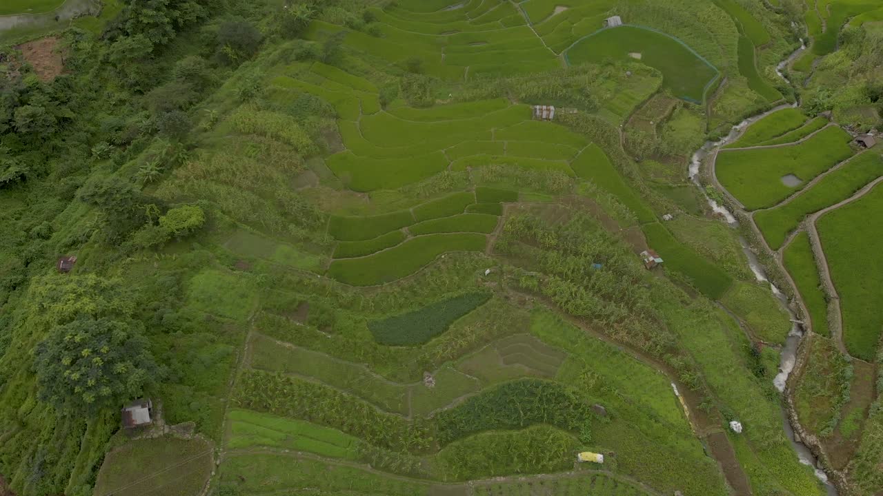 toma aérea de 4k de la aldea de khonoma y su agricultura en terrazas, también conocida como cultivo escalonado de campos de arroz, nagaland, india