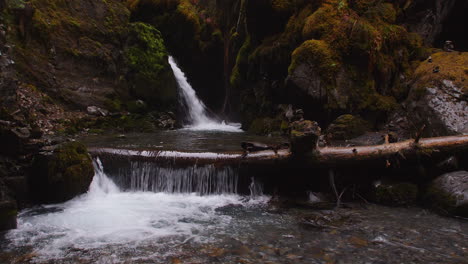 very wide shot of virgin falls tumbling over moss covered rock formations with virgin creek flowing over a fallen tree branch in the foreground in the chugach national forest in girdwood alaska