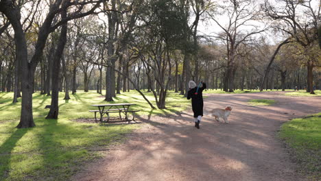 Perro-Lanzando-Una-Pelota-Para-Un-Perro-Golden-Retriever-En-El-Parque-Con-La-Hermosa-Luz-Del-Sol-De-La-Mañana