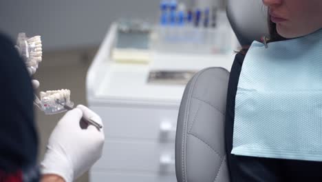 doctor's hands hold plastic jaw model. dentist shows artificial teeth to a female patient in stomatology office. close-up. dentistry.