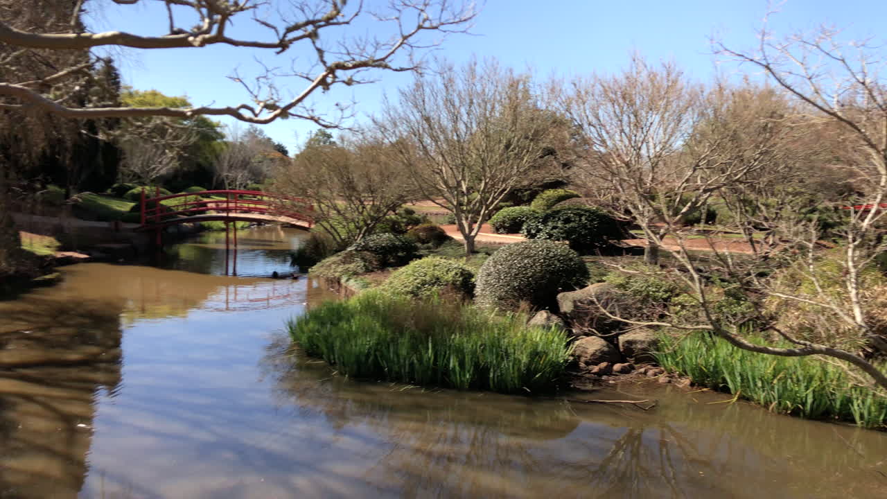 slo pan of pond bridge to bridge, ju raku en japanese garden, 투움바 오스트레일리아