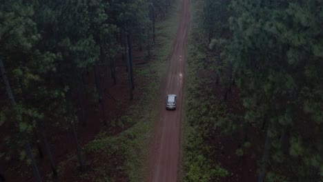 Toma-Aérea-De-Seguimiento-De-4k-De-Un-Vehículo-Plateado-En-Un-Camino-Embarrado-En-La-Plantación-De-Forrest-En-Mpumalanga,-Sudáfrica