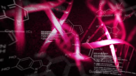 DNA-helix-with-chemical-structure-illustrations