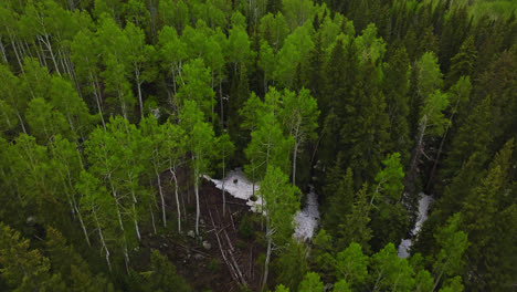 drone flyover of the forest and creek with reveal of the grand valley in grand mesa, colorado