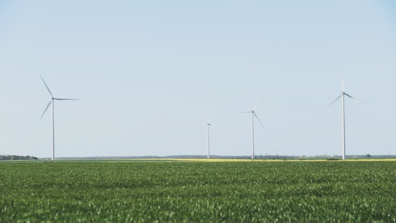 잔디와 유채밭에서 회전하는 풍력 터빈