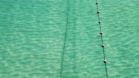 peces nadando a lo largo de las redes de pesca en el mar egeo mediterráneo: vista aérea de una trampa tradicional en las aguas azules cristalinas de tesalónica