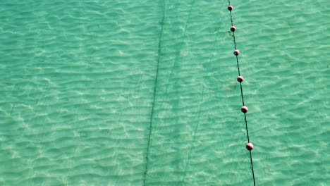 fish swimming along fishing net in the mediterranean aegean sea: aerial view of a traditional trap in thessaloniki's crystal clear blue waters