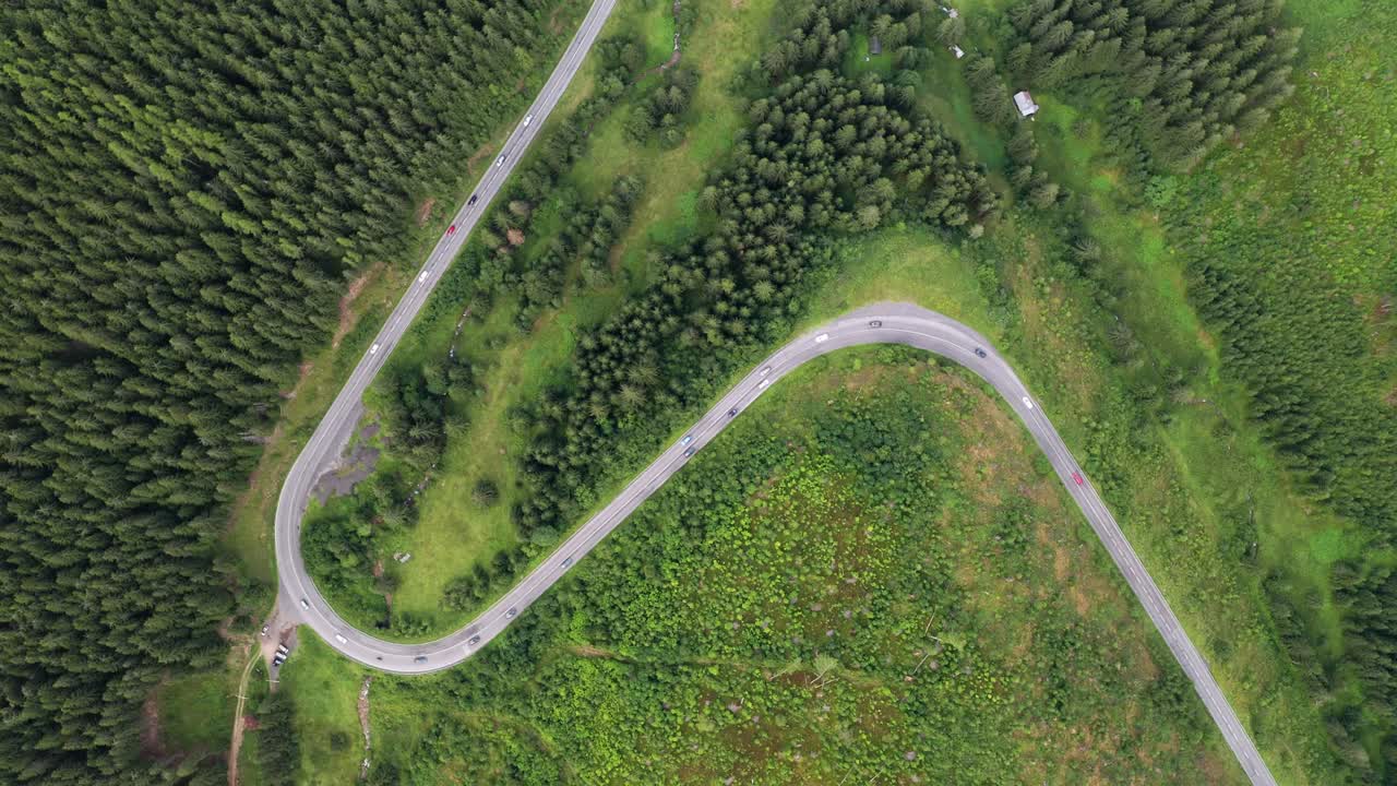 viaje por carretera a través de un bosque