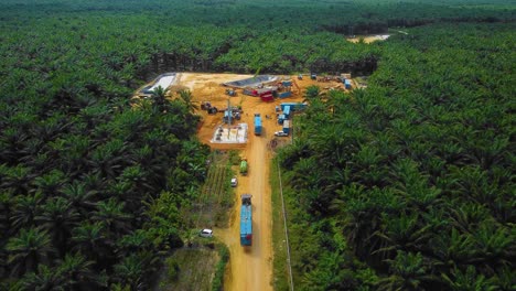 cinematic drone footage of onshore drilling rig equipment structure for oil exploration and exploitation in the middle of jungle surrounded by palm oil trees during sunset and high oil price