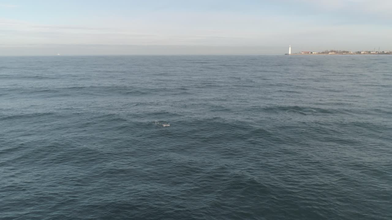 등대 와 함께 바다 를 볼 수 있다