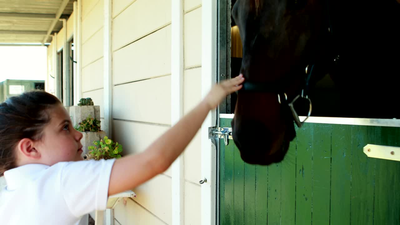 chica acariciando caballo en el establo 4k