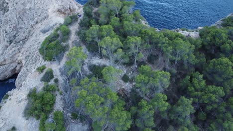 Vuelo-De-Drones-Sobre-La-Costa-Escondida-En-Mallorca-Con-La-Cámara-Abajo-Terminando-Sobre-El-Océano-Con-Gaviotas-En-Verano