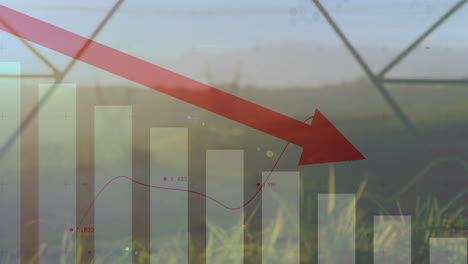 over nature background, red arrow pointing down on bar graph, showing decline