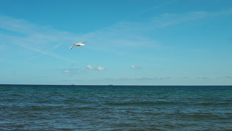 Zeitlupe,-Vögel-Fliegen-Am-Meeresufer-Entlang,-Mit-Blick-Auf-Den-Schönen-Himmel-Und-Das-Dunkle-Meer-Mit-Kleinen-Wellen