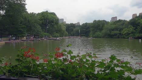 Lago-Del-Parque-Central-Desde-El-Restaurante-Boat-House