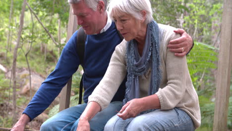 senior couple sitting on a wooden bridge in a forest